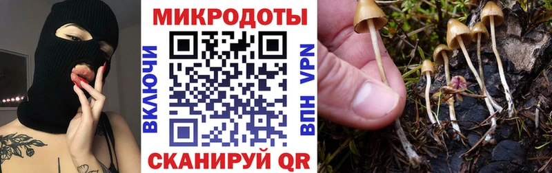 Псилоцибиновые грибы MAGIC MUSHROOMS  даркнет как зайти  Пересвет 
